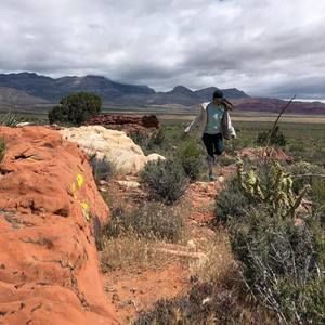 Meet your Posher, Marla